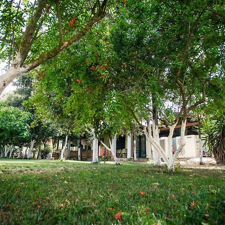 Agriturismo Archelao Oristano Kültér fotó