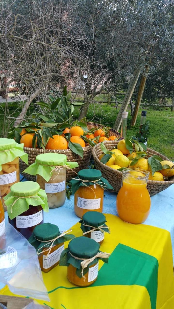 Agriturismo Archelao Oristano Kültér fotó